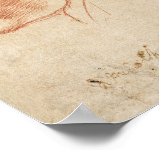 anatomische schets poster (Hoek)