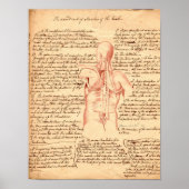 Anatomische schets poster (Voorkant)