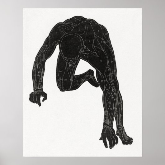 Anatomische studie van de nek van een man poster (Voorkant)