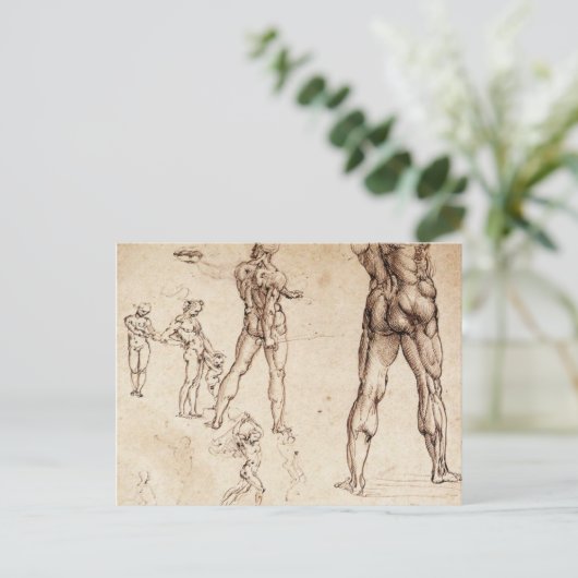 Anatomische studies briefkaart (Staand voorkant)