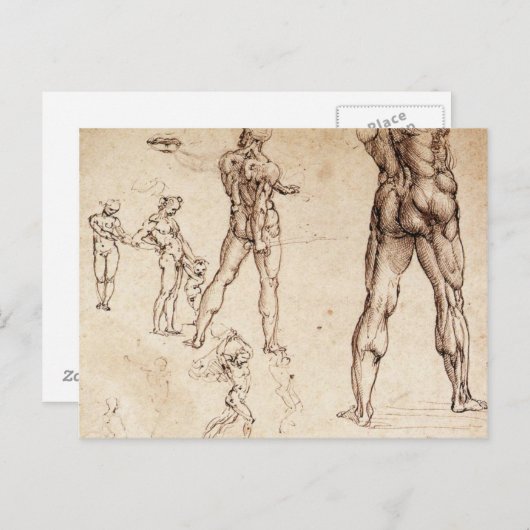 Anatomische studies briefkaart (Voorkant / Achterkant)