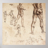 Anatomische studies poster (Voorkant)