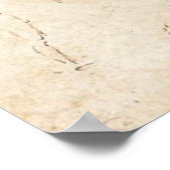 Anatomische studies poster (Hoek)