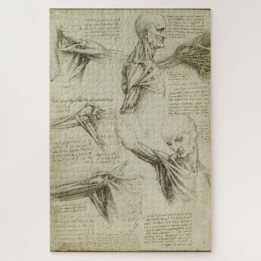 Anatomische studies van de schouder - Leonardo da  Legpuzzel (Verticaal)