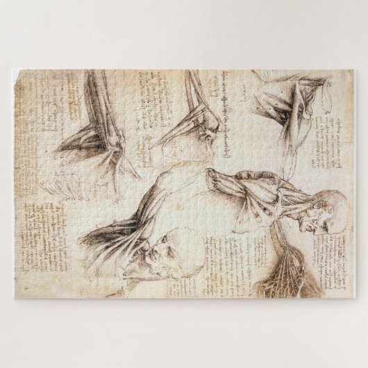 Anatomische studies van de schouder - Leonardo da  Legpuzzel (Horizontaal)