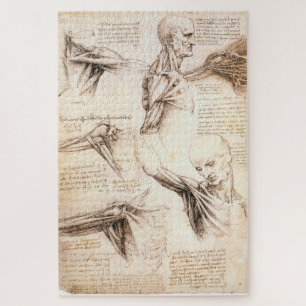 Anatomische studies van de schouder - Leonardo da  Legpuzzel