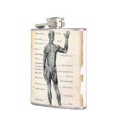 anatomische tekening heupfles (Links)