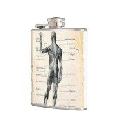 anatomische tekening heupfles (Links)