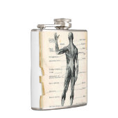 anatomische tekening heupfles (Rechts)