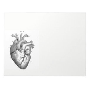 anatomische tekening menselijk hart notitieblok