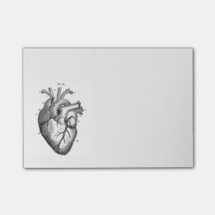 anatomische tekening menselijk hart post-it® notes