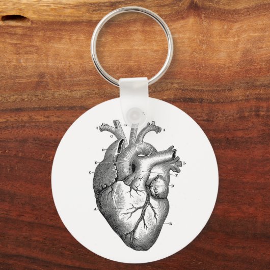  anatomische tekening menselijk hart sleutelhanger (Voorkant)