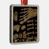 Anatomische tekening van de botten van de voet metalen ornament (Rechts)