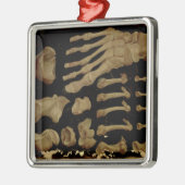 Anatomische tekening van de botten van de voet metalen ornament (Links)