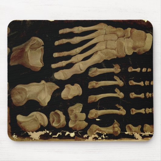 Anatomische tekening van de botten van de voet muismat (Voorkant)