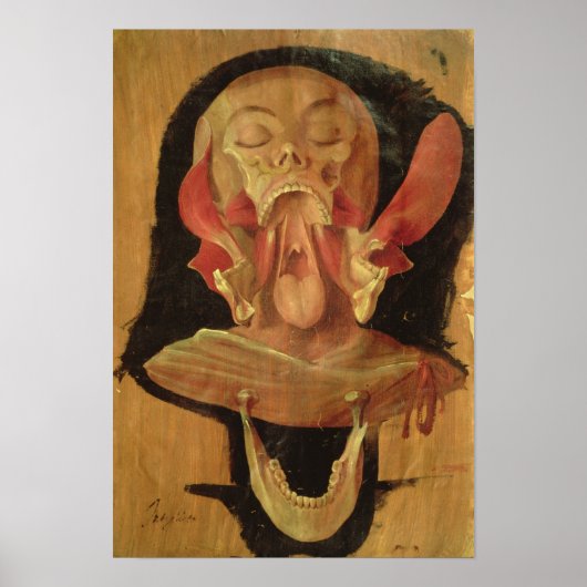 Anatomische tekening van het hoofd poster (Voorkant)