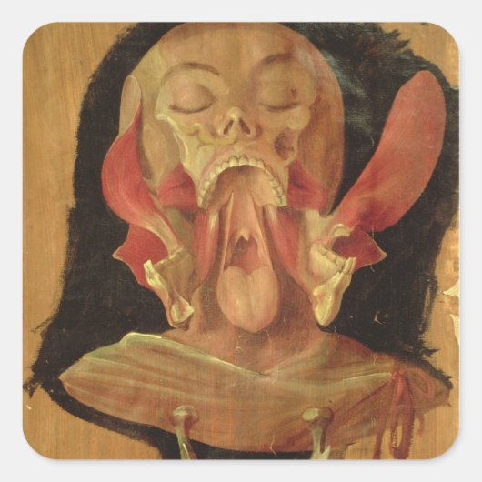 Anatomische tekening van het hoofd vierkante sticker (Voorkant)