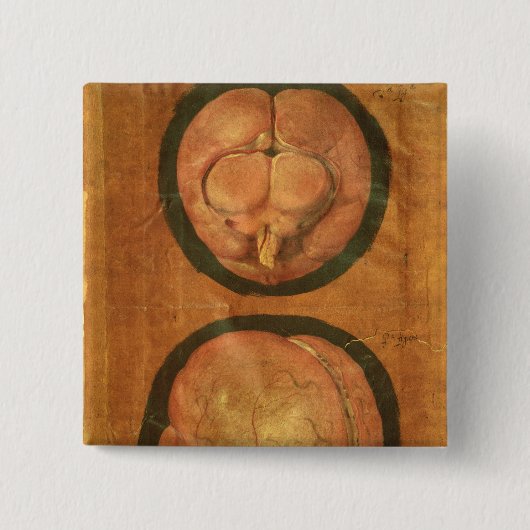 Anatomische tekening van het menselijk brein vierkante button 5,1 cm (Voorkant)