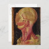 Anatomische tekening van het menselijk hoofd briefkaart (Voorkant / Achterkant)