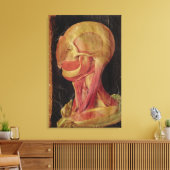 Anatomische tekening van het menselijk hoofd canvas afdruk (Insitu (Woonkamer))