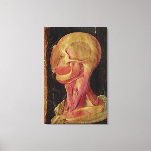 Anatomische tekening van het menselijk hoofd canvas afdruk (Voorkant)