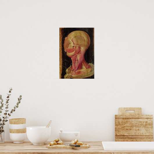 Anatomische tekening van het menselijk hoofd poster (Keuken)