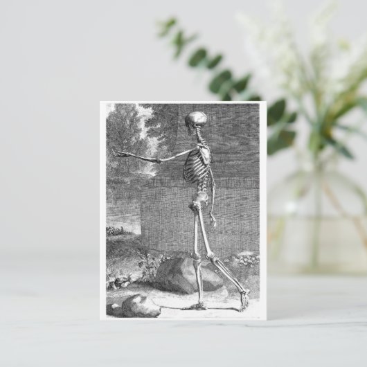 anatomische tekening, zijdelings uitzicht, skelet briefkaart (Staand voorkant)
