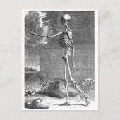 anatomische tekening, zijdelings uitzicht, skelet briefkaart (Voorkant)