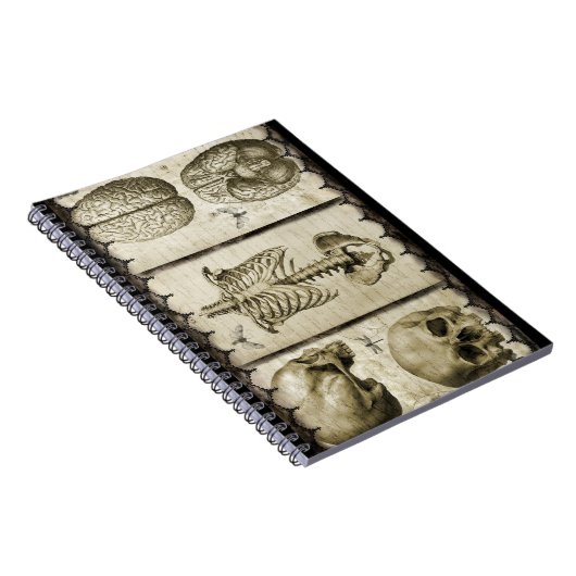 Anatomiseren Notitieboek (Rechterzijde)