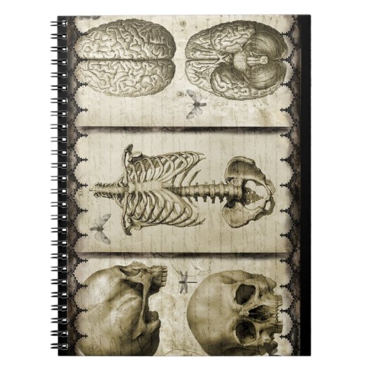 Anatomiseren Notitieboek (Voorkant)