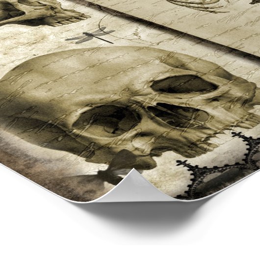 Anatomiseren Poster (Hoek)