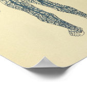  Anatomy Art Print 1920 Veins (Hoek)