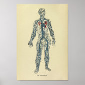 Anatomy Art Print 1920 Veins (Voorkant)