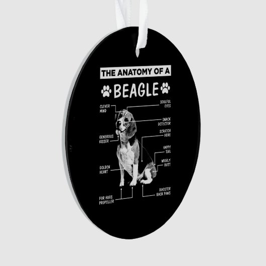 Anatomy Beagle Dog Ornament (voorkant)