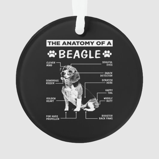 Anatomy Beagle Dog Ornament (achterkant)