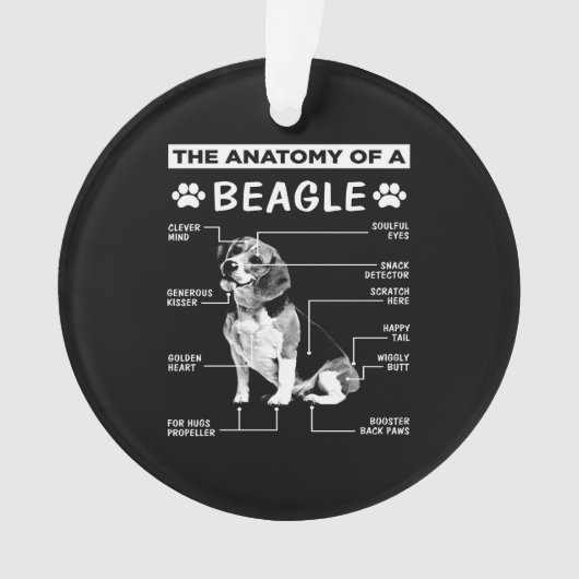 Anatomy Beagle Dog Ornament (voorkant)