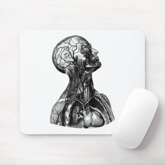 Anatomy Bust Muismat (Met muis)