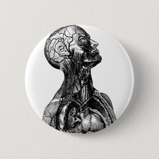Anatomy Bust Ronde Button 5,7 Cm (Voorkant)