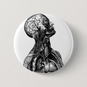 Anatomy Bust Ronde Button 5,7 Cm