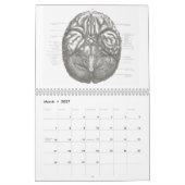 Anatomy Calender Kalender (Mar 2027)