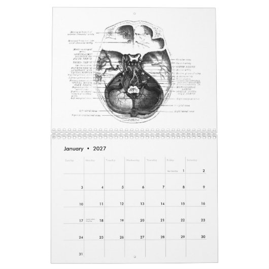 Anatomy Calender Kalender (Jan 2027)