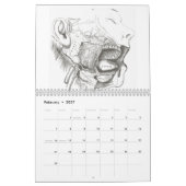 Anatomy Calender Kalender (Feb 2027)
