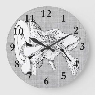 ANATOMY  CLOCK GROTE KLOK