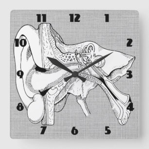 ANATOMY  CLOCK VIERKANTE KLOK