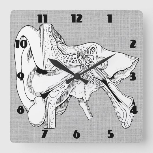 ANATOMY  CLOCK VIERKANTE KLOK (Voorkant)
