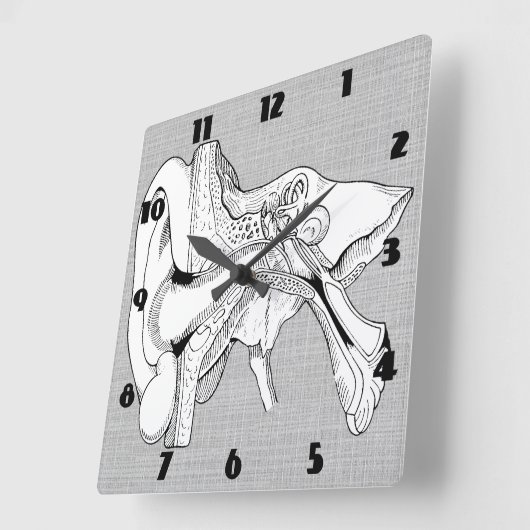 ANATOMY  CLOCK VIERKANTE KLOK (Hoek)