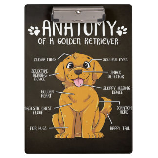 Anatomy Golden Retriever | Golden Retriever Lover Klembord