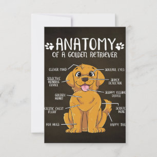 Anatomy Golden Retriever   Golden Retriever Lover RSVP Kaartje
