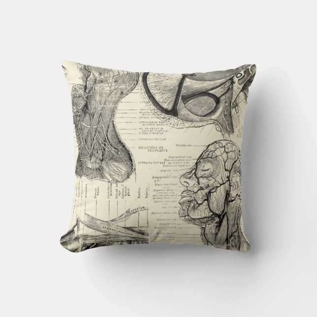 Anatomy Illustration Pillow Kussen (Voorkant)