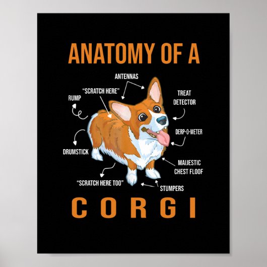 Anatomy of a Corgi Funny Dog Poster (Voorkant)